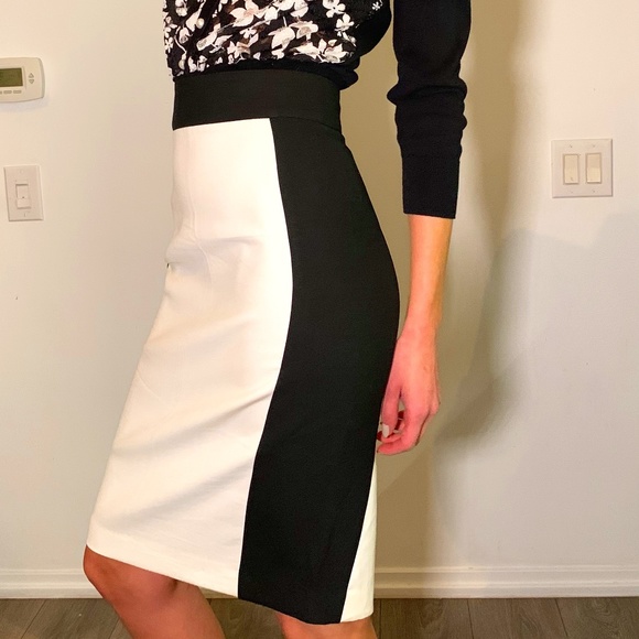 Elegant ZARA Black and White Skirt, Perfect for elegant evenings, office outfit - Picture 1 of 15